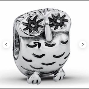Authentic Pandora Retired Owl Wisdom Charm Bead